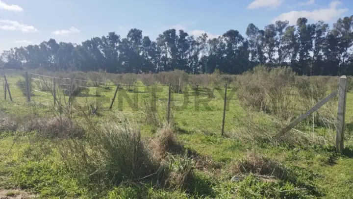 Lote de 5.000 m² en Eduardo Arana, foto 1