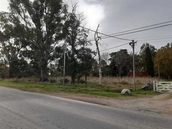 Lote de 1.959 m² en Berisso, foto 1