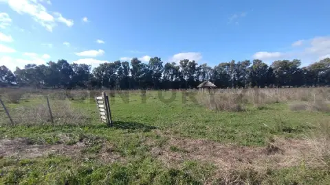 Lote de 10.000 m² en Eduardo Arana