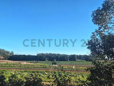 Campo de 9 m² en Eduardo Arana