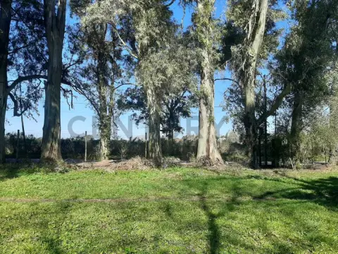 Quinta de 1 dormitorio en Villa Parque Sicardi